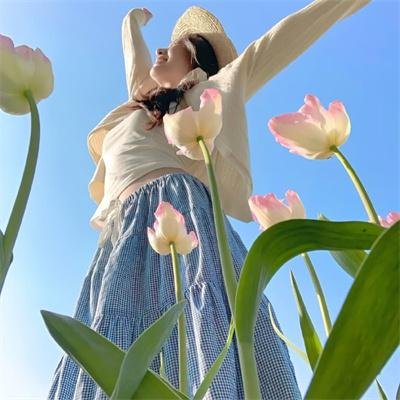 无限斯特拉托斯第二季