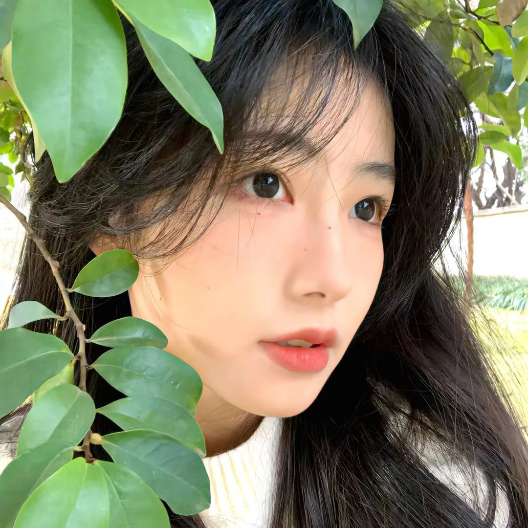 月与雷